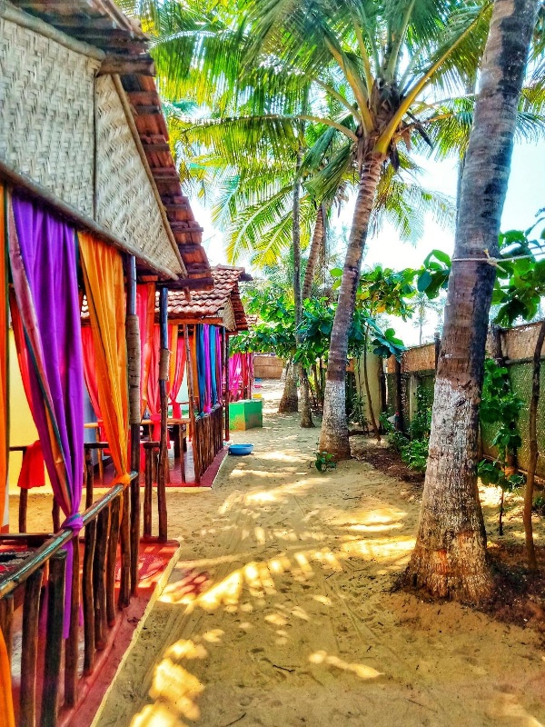 GoYm Resort  image 4